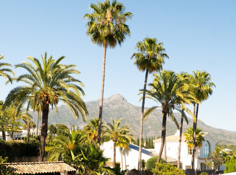 Villa Rosalia Nueva Andalucia Marbella