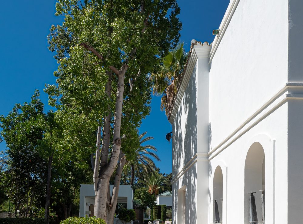 Villa Guadalmina Baja San Pedro de Alcantara Marbella