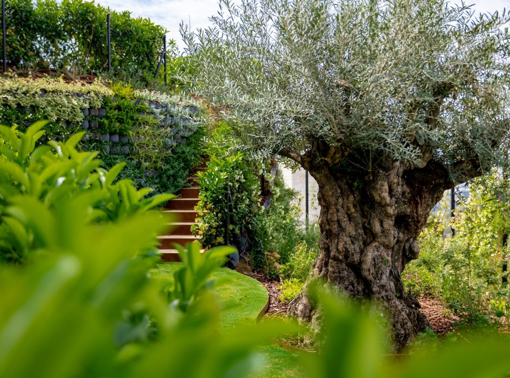 Villa The Hills 12 La Quinta Benahavis Marbella