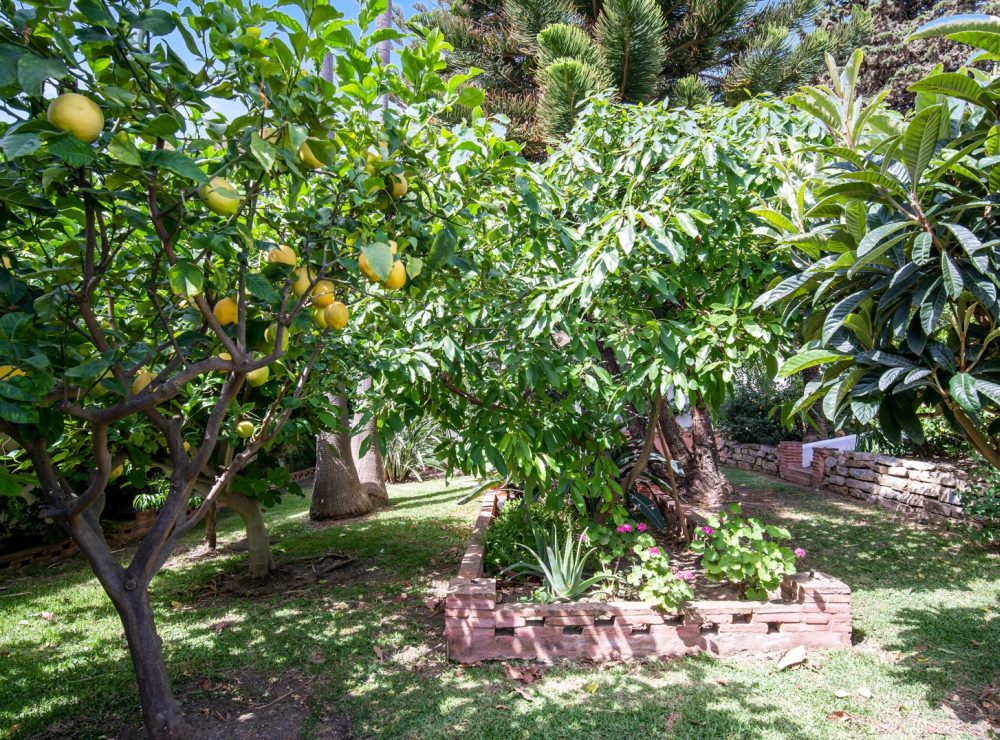 Villa Urb. Don Pedro west of Estepona Marbella