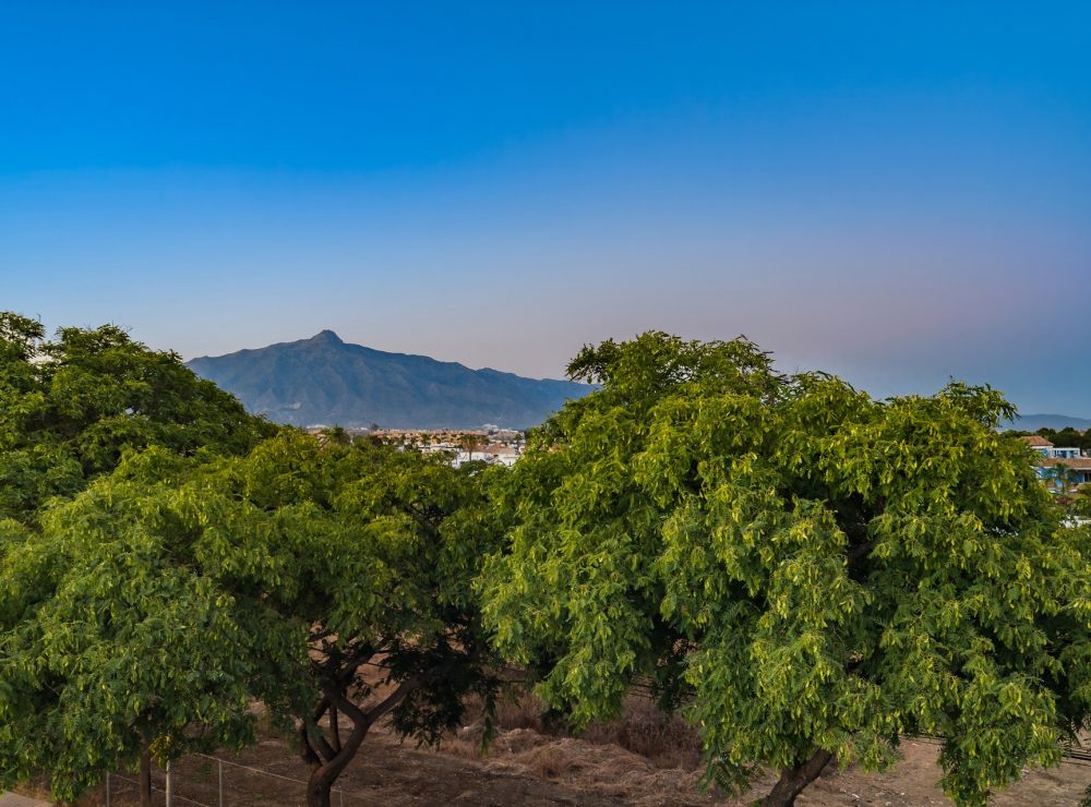 Villa Adina San Pedro Marbella