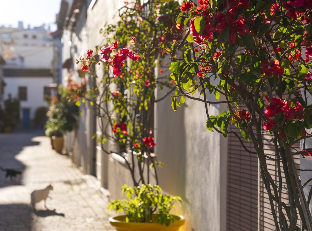 Townhouse old town Estepona Marbella