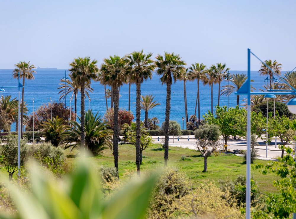 Duplex penthouse San Pedro de Alcantara Marbella beachside