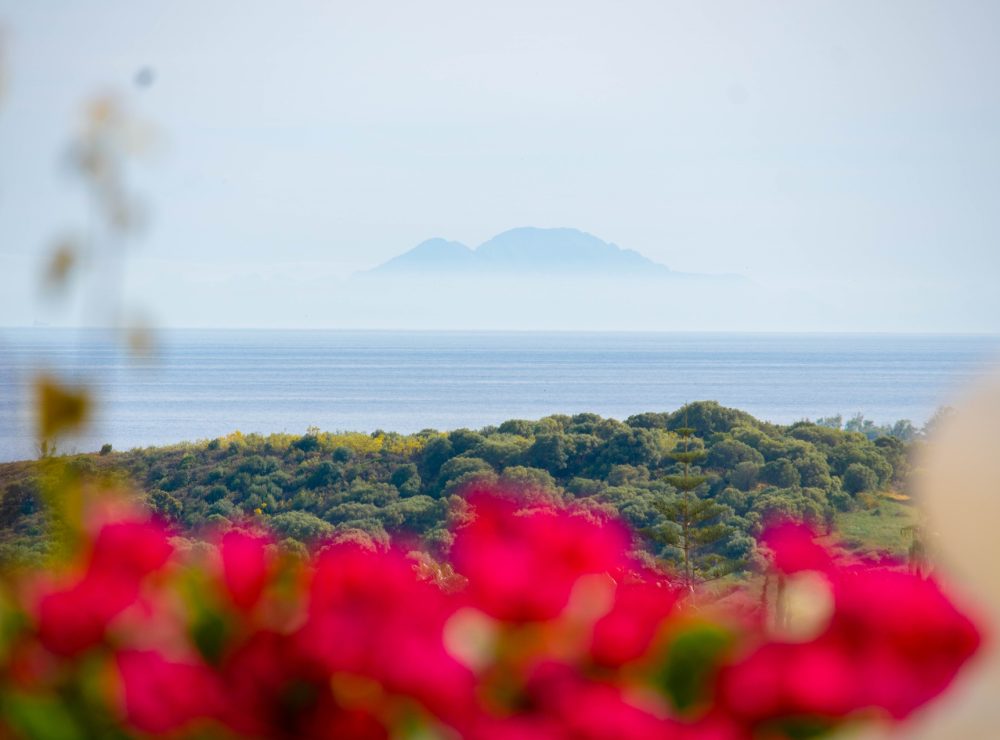 Villa Loxley El Paraiso Alto Benahavis Marbella