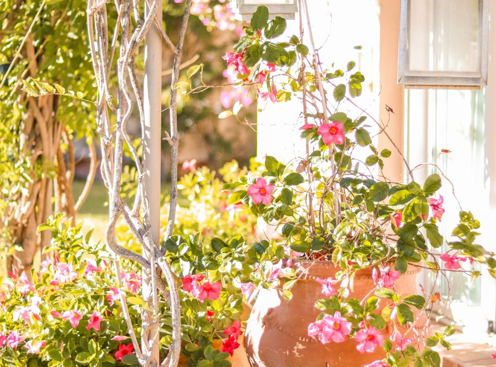 Villa Fuente del Espanto Benahavis Marbella