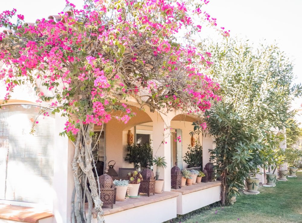Villa Fuente del Espanto Benahavis Marbella